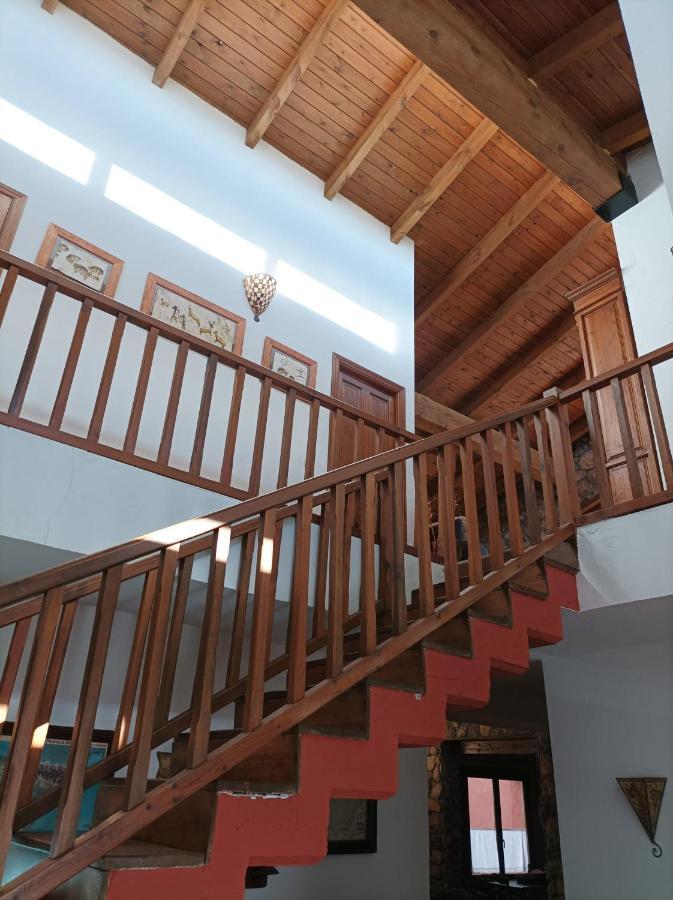 La Casa De Gatos Condemios de Abajo