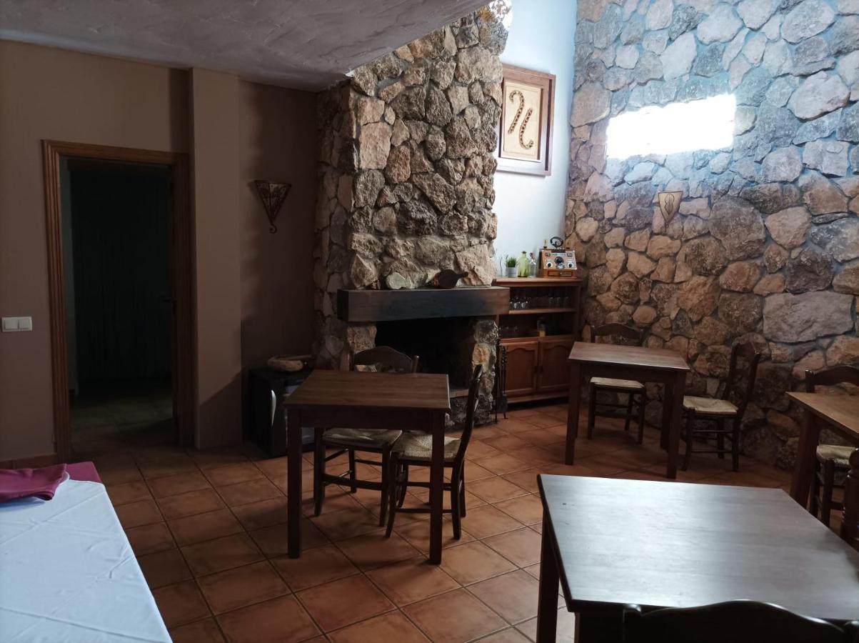 La Casa De Gatos